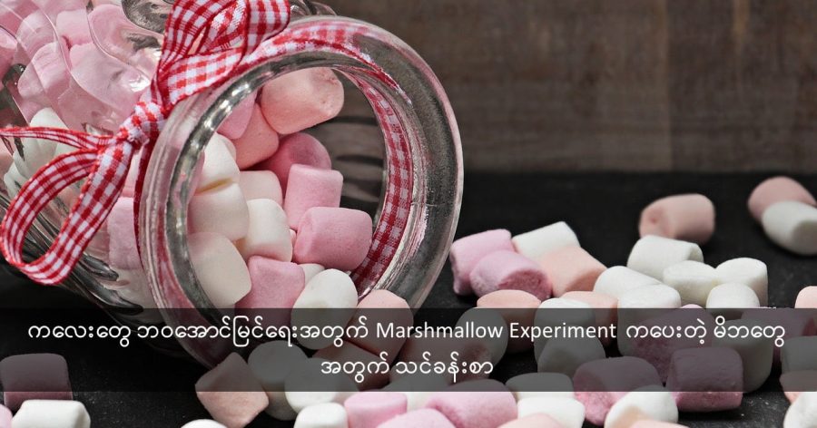 ကလေးတွေ ဘဝအောင်မြင်ရေးအတွက် Marshmallow Experiment ကပေးတဲ့ မိဘတွေအတွက် သင်ခန်းစာ (Credit: Jill111 | Pixabay)