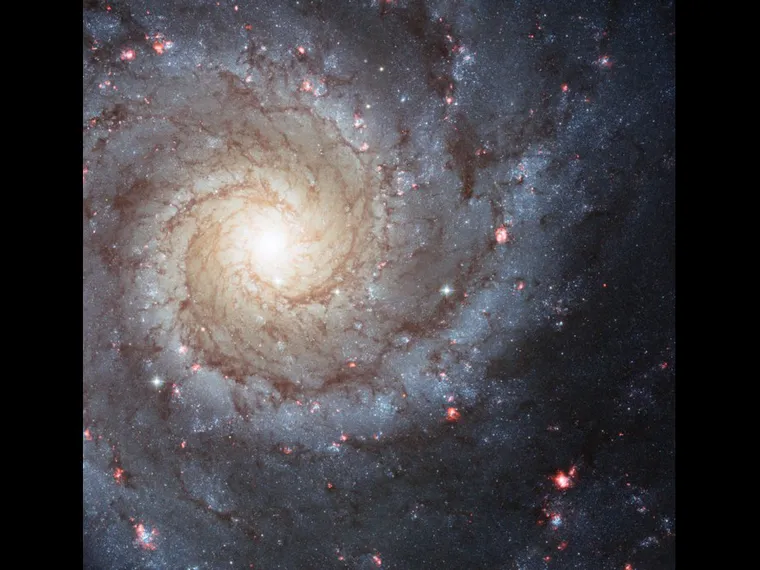 Messier 74 (Photo: NASA)