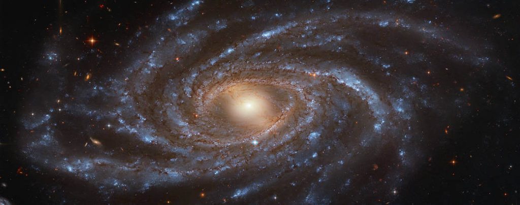 အလင်းနှစ် သန်း ၁၀၀ အကွာက NGC 2336 ဂလက်ဆီကြီးဟာ အလင်းနှစ် ၂၀၀,၀၀၀ ကျယ်ပါတယ်