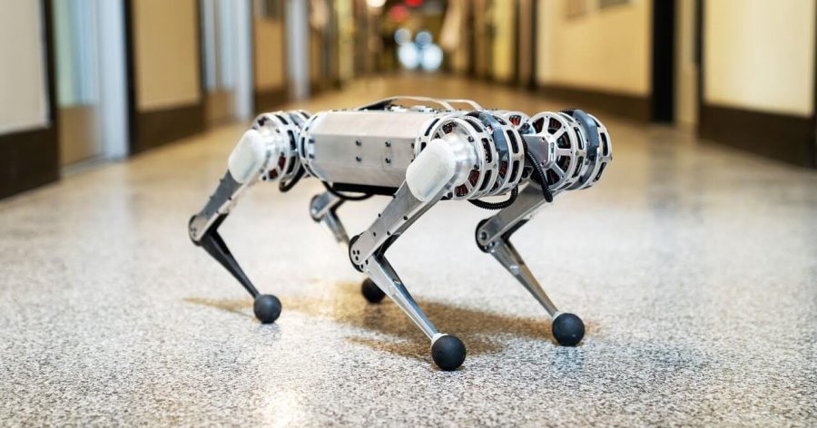MIT's mini cheetah robot