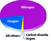 လက်ရှိ ကမ္ဘာ့ လေထုမှာ နိုက်ထရိုဂျင် ၇၈% နဲ့ အောက်ဆီဂျင် ၂၁% ပါဝင်ပါတယ်။