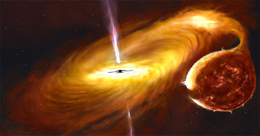 Black hole with warped accretion disk