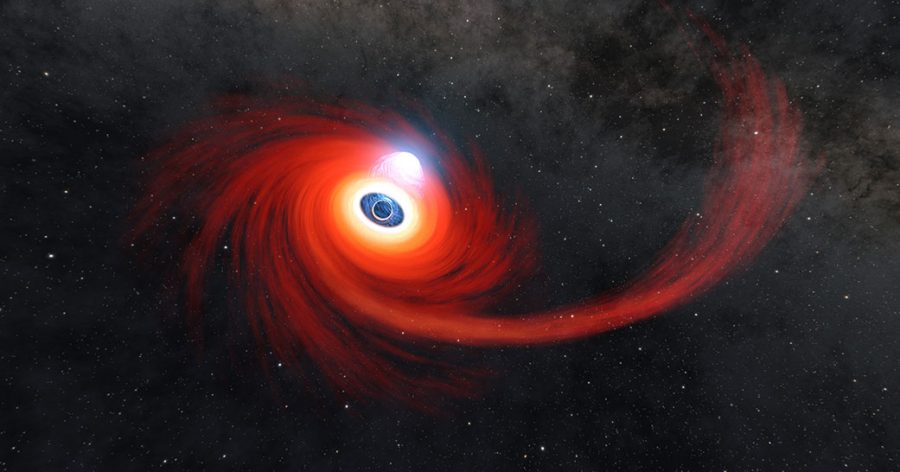 Black hole swallow a star